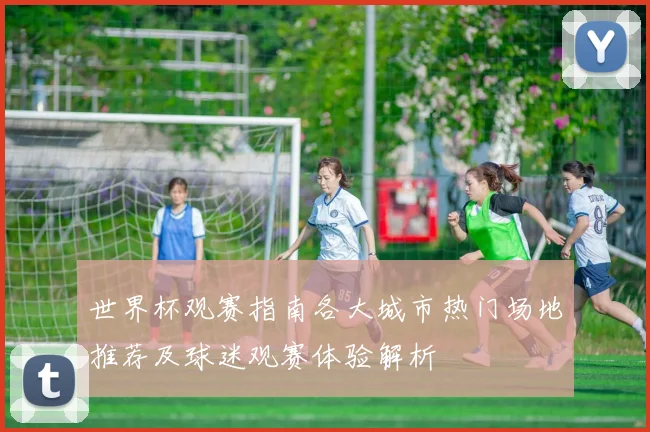 世界杯观赛指南各大城市热门场地推荐及球迷观赛体验解析