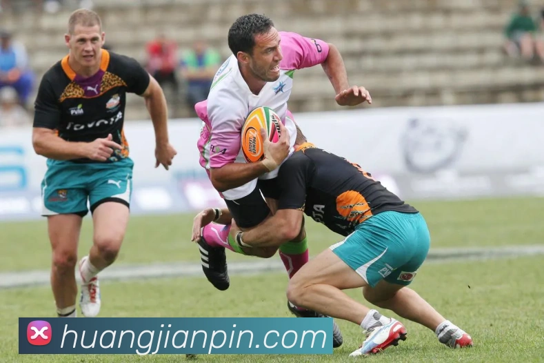 奇异果app官网入口平台生态图